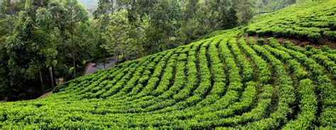 Batasia Loop & War Memorial: Scenic Beauty & History