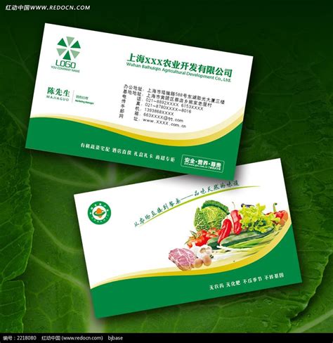 厦门盛之康食材配送蔬菜配送-258jituan.com企业服务平台