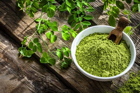 Moringa Leaves Benefits: 15 Amazing Ways to Improve Your Health and Wellness - Openatalk