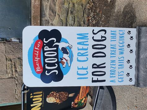 SUP HEALTH & HARMONY LOCH LOMOND (2025) All You Need to Know BEFORE You ...