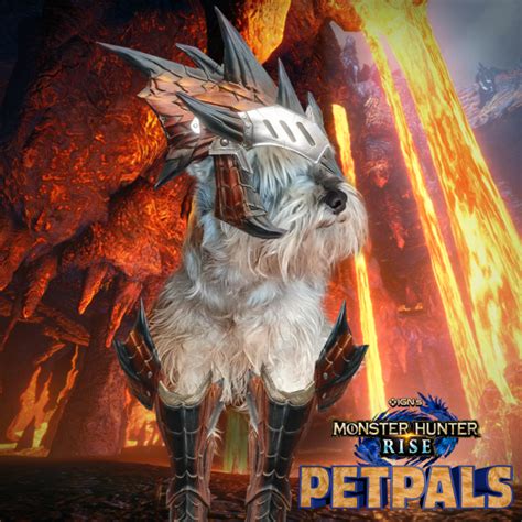 Slideshow: Monster Hunter Rise Pet Pals Winners