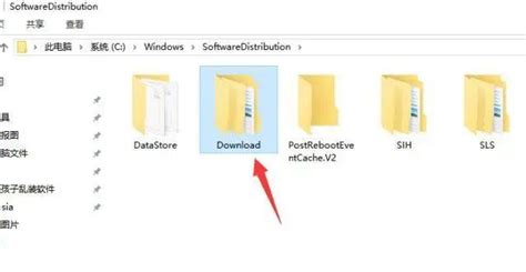 User File Computer 的图像结果