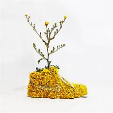 pub co de fiori organic nikes made from flowers and bark pub co de fiori organic nikes made from flowers and bark