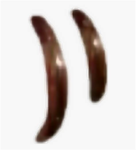 Piercing Insect 的图像结果