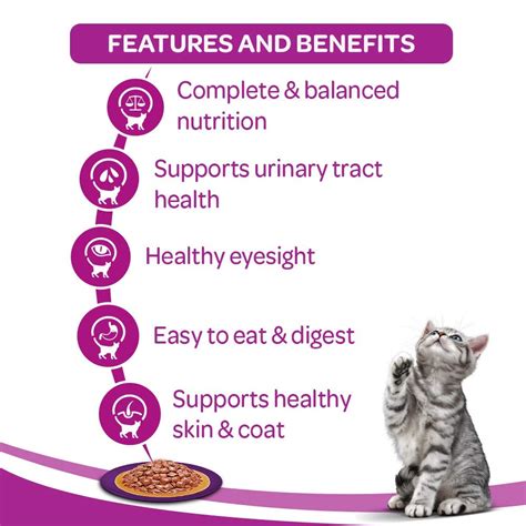 WHISKAS® Wet Cat Food - Salmon in Gravy Flavour | Whiskas