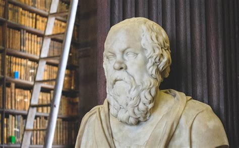 Book Review | Seeking Meaning in a Meaningless World: The Essence of ...