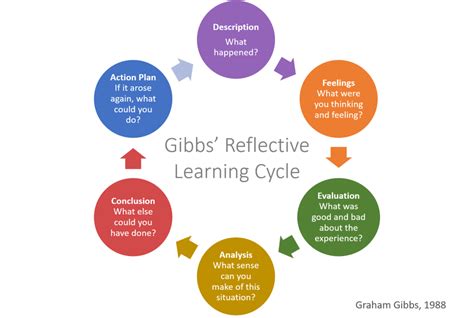 Reflective Learning 的图像结果