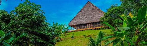 FLOWER OF LIFE AYAHUASCA HEALING CENTER (Iquitos) - Lodging Reviews ...