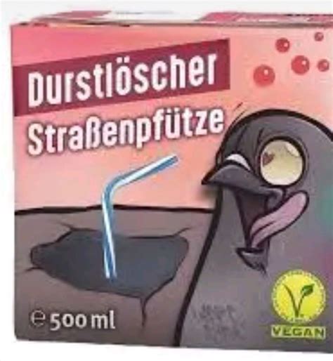 Die 10+ besten Tauben Memes - Schlechte Witze