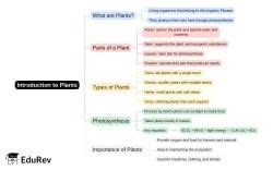 Mindmap: PDF Download