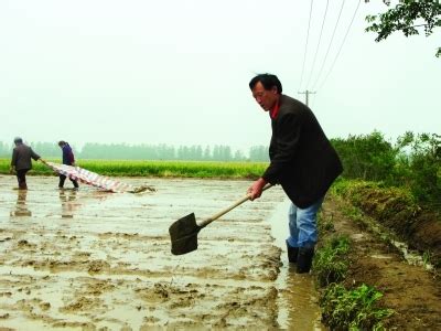 南京首位“农场主”是个地道的农民 家庭农场登记有规定_新浪新闻
