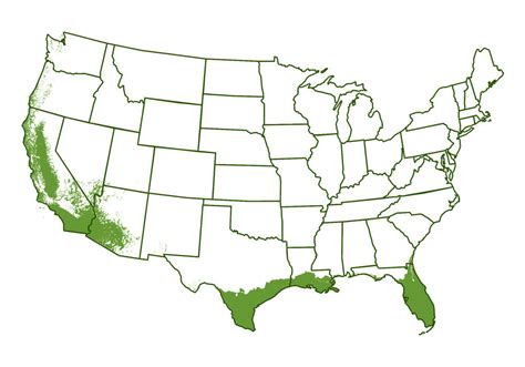 Image result for Palm Tree Map