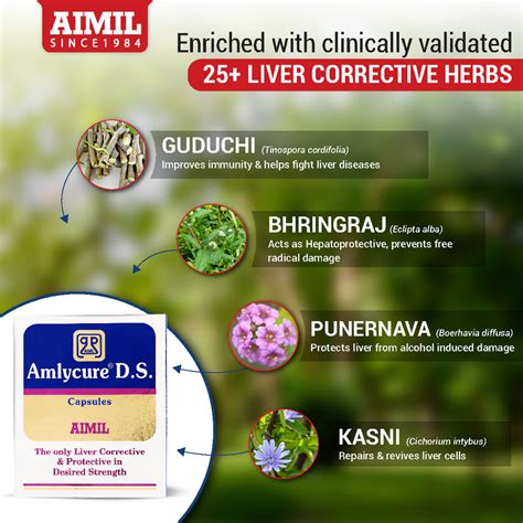 Buy AIMIL Amlycure D.S Capsules Online | Herbal Liver Wellness