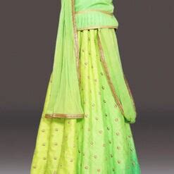 Crop Top Lehenga with dupatta -Children's Ethnic Party Wear