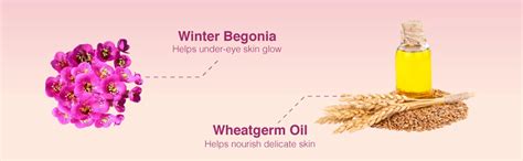 Himalaya Under Eye Cream 15 ml | Cipadessa Baccifera, Begonia Legulata ...