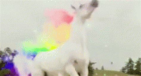 1mg is India’s 21st unicorn of 2022; TikTok hacked, over 2 billion user ...