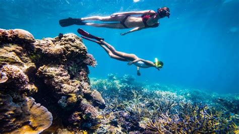 See Komodo Dragons Up Close At AYANA Komodo Waecicu Beach