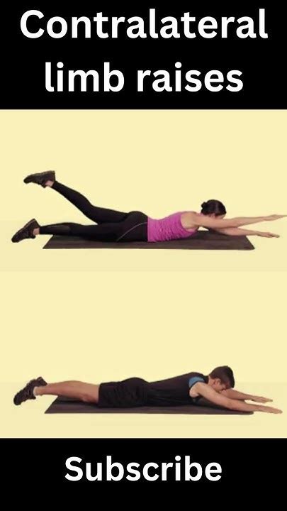 Image result for Contralateral Extremity