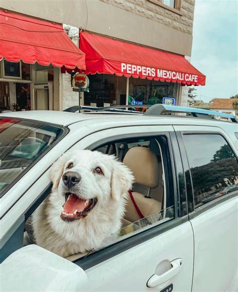 Gallery - Peppers Mexicali Cafe - Pacific Grove