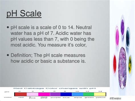 Image result for Universal Indicator Acid
