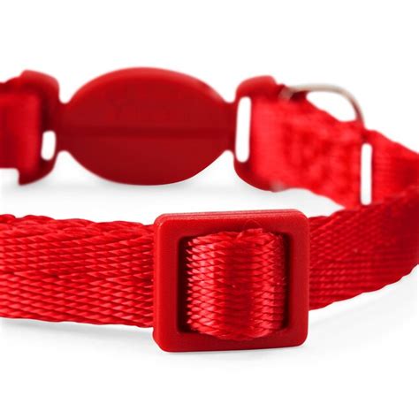 Youly Multiple Colors/Finishes Dog Collar, Small at Lowes.com
