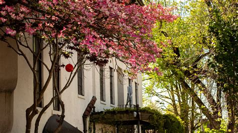 The zodiac signs as Chattanooga, TN neighborhoods - NOOGAtoday