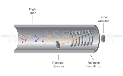 Image result for Orbitrap Mass Spectrum
