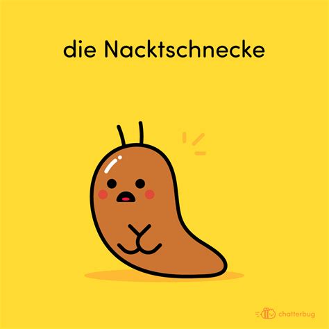 15 Funny (and Sometimes Quite Logical) German Words - Chatterblog ...