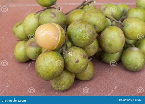 Fresh Melicoccus Bijugatus Spanish Lime Fruit Stock Image - Image of ...