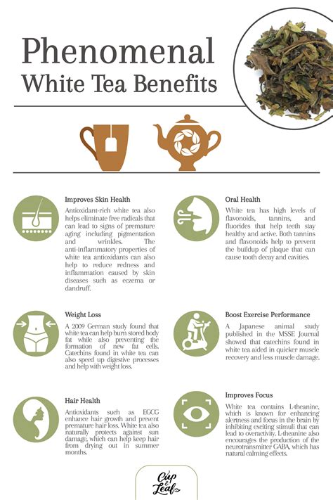 9 Phenomenal White Tea Benefits To Improve Your Health - Cup & Leaf