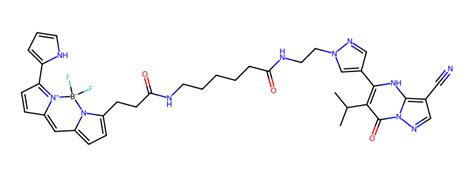 tracerDB | Tracer Browser