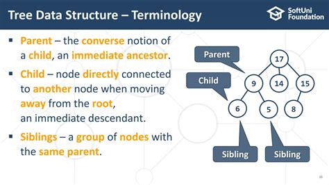 Trees Problems Java 的图像结果