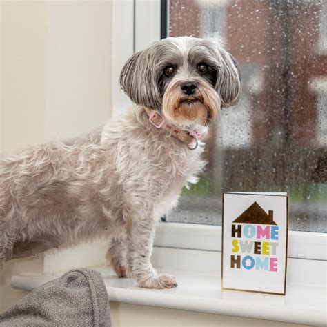 Manage my home - Wales & West Housing Association