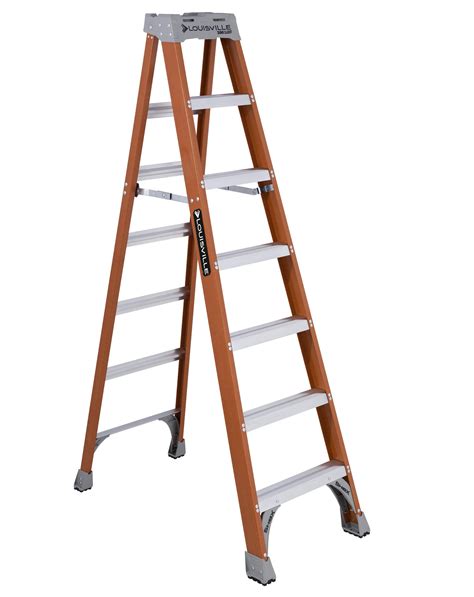 Image result for Ladder Lass