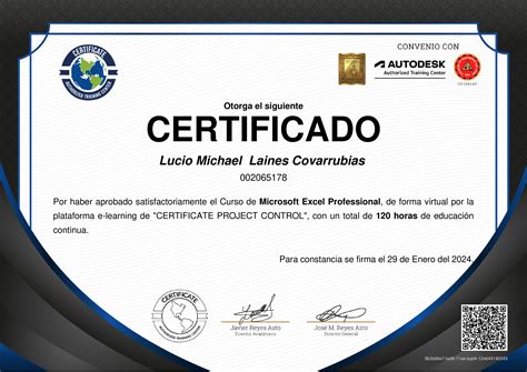 Microsoft Excel Professional - CERTIFICATE PROJECT CONTROL