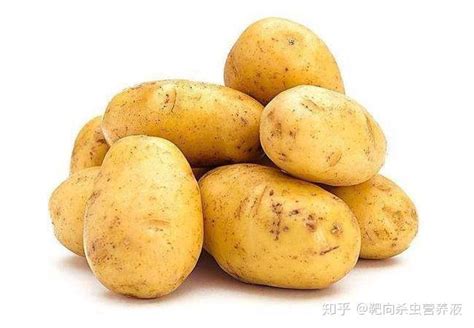 优质高产土豆种 厂价销售 全国发货_土豆价格行情_蔬菜商情网