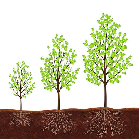 Tree Growth 的图像结果