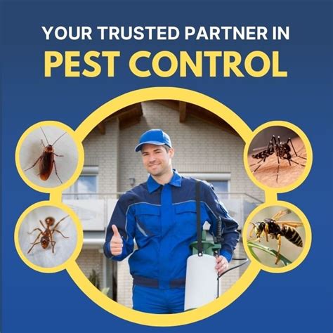 Pestomen - Mosquitos, Rodent, Termites & general pest control
