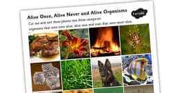 Alive Once Alive Never Alive Sorting Activity (teacher made)