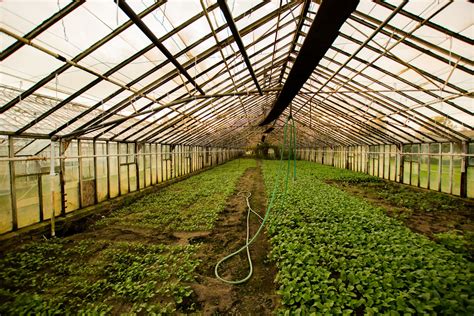 Agriplast Tech India Private Limited | What is Greenhouse Farming