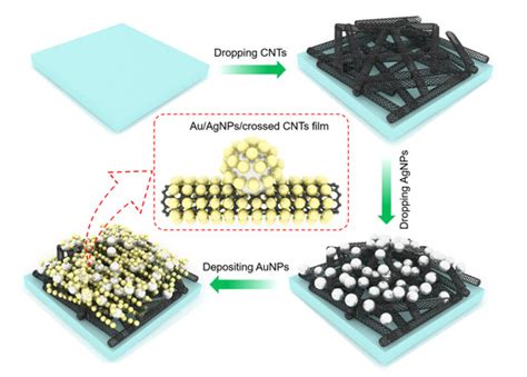 Three-Dimensional Au/Ag Nanoparticle/Crossed Carbon Nanotube SERS ...