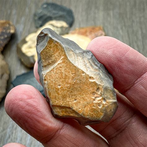 Stone Age History 的图像结果