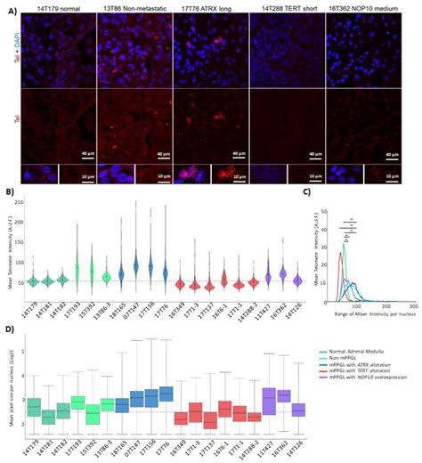 Analysis of Telomere Maintenance Related Genes Reveals NOP10 as a New ...