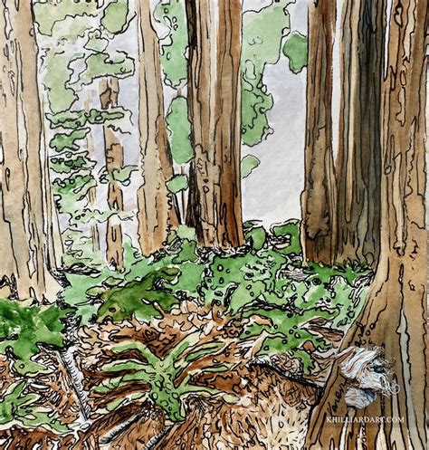 “Redwoods – Stand United” – Karen Hilliard Art