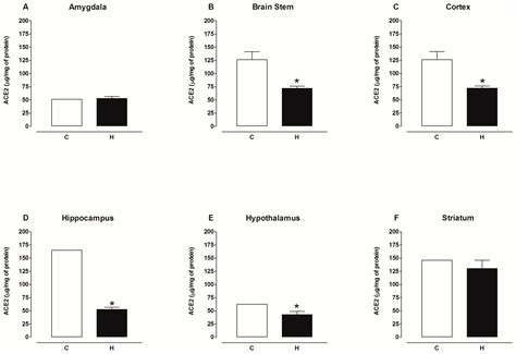 SARS-CoV-2 Spike Protein Enhances Carboxypeptidase Activity of ...