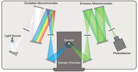 Image result for How Does Fluorescence Spectroscopy Work