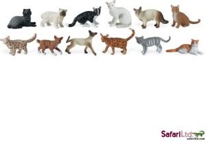 Safari Ltd Toob - Domestic Cats - Toob - Domestic Cats . shop for ...