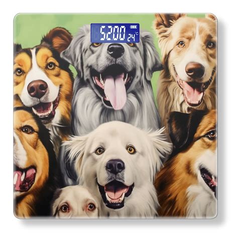 Bathroom Scale, Highly Accurate Digital Body Scale,Precisely Measures ...