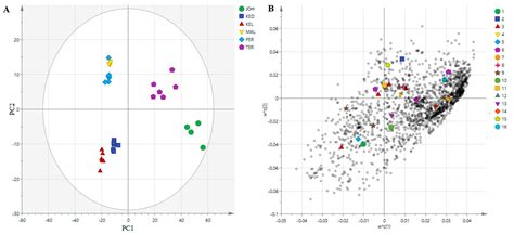 UPLC-MS-Based Metabolomics Profiling for α-Glucosidase Inhibiting ...