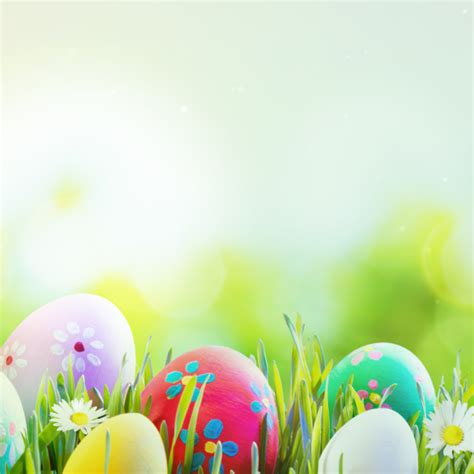 Easter Egg Backgrounds